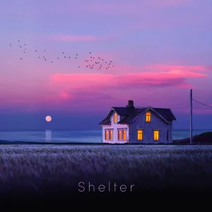 Shelter