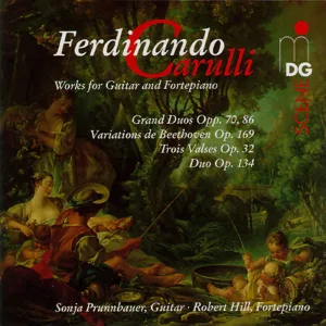 Grand Duo for Guitar and Fortepiano in D Major, Op. 70: III. Allegretto. con poco moto