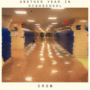 Another Year in Highschool