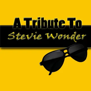 You Are The Sunshine On My Life - (Tribute To Stevie Wonder)