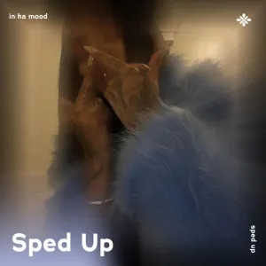 in ha mood - sped up + reverb