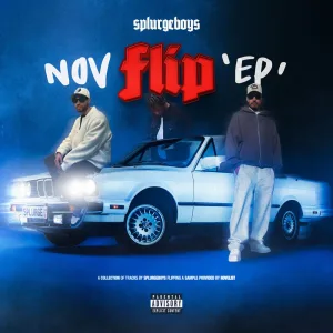 Nov Flip 01