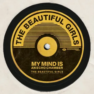 My Mind Is An Echo Chamber (Live At The Enmore)