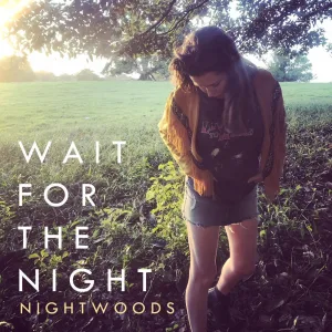 Wait for the Night