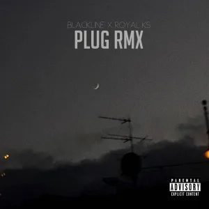 Plug Rmx