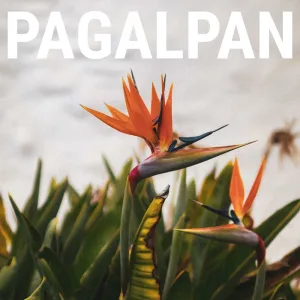 Pagalpan
