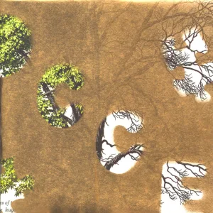 Bahai Cassette Is Playing at My House