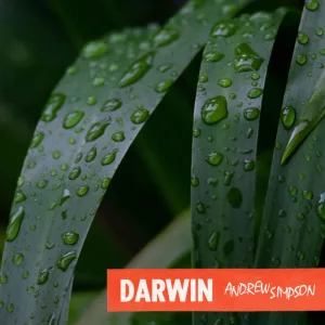 Darwin