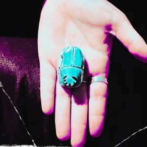 The Scarab Beetle