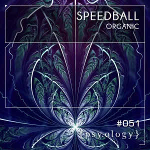 Imperfect Melodies (Original Mix)