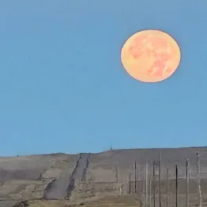 My MOON 2 (feat. Starr Valdez)
