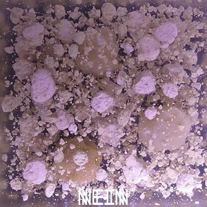 Dust Rings (Adrian Marth remix)
