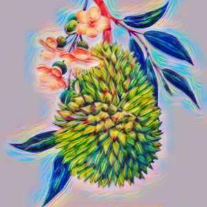 Love and Abundance