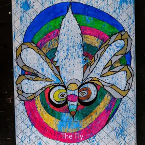 Fly