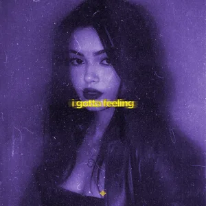 i gotta feeling (slowed & reeverb)