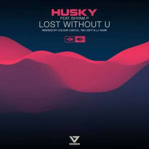 Lost Without U (Colour Castle Remix)