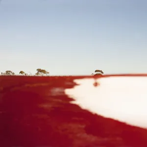 The Plains, Pt. 3