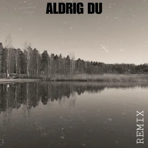 ALDRIG DU (Remix)
