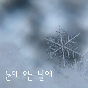 눈이 오는 날에