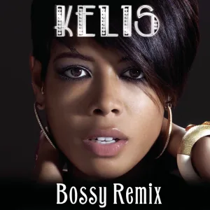 Bossy (feat. Too $hort) (Alan Braxe & Fred Falke Remix)