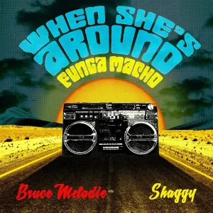 When She's Around (Funga Macho) (DatboiSanixx Remix)