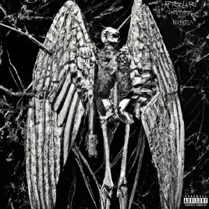 AFTERLIFE
