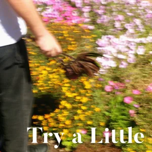 Try a Little