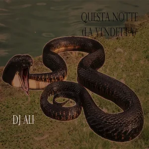 Questa notte (La Vendetta Dance Mix)
