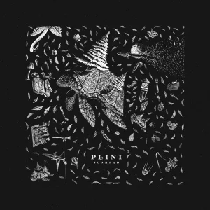 Flâneur