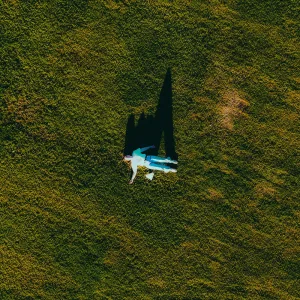 Paper Planes
