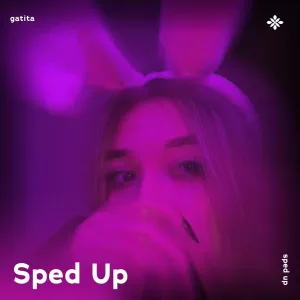 gatita - sped up + reverb