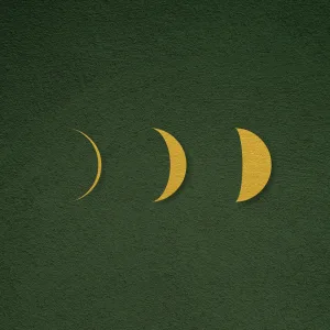 The Sun Will Lead You Home Again