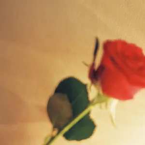 Potential (feat. Poppongene)