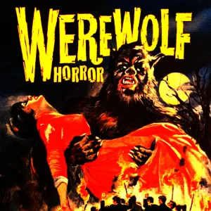 Who's Afraid of the Big Bad Wolf