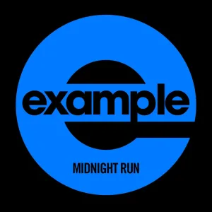Midnight Run (Flux Pavillion Remix)