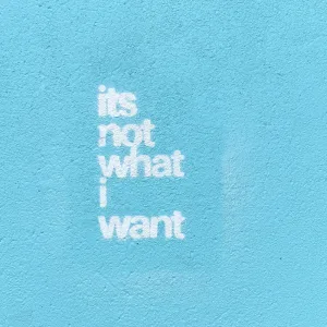 it's not what i want