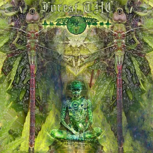 Insector Predatorlowsky