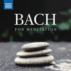 Sonata No. 3 for Violin and Harpsichord in E Major, BWV 1016: III. Adagio ma non troppo