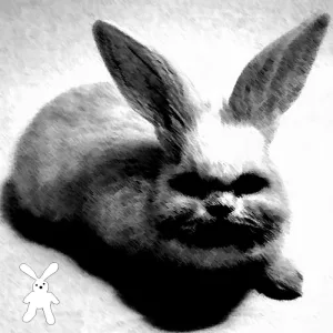 Season Is Open (Original Mix)