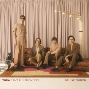 Can’t Buy The Mood