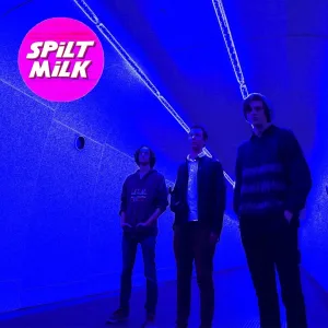 The Fall