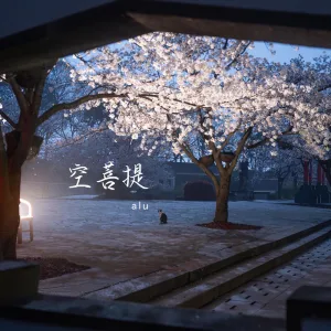 空菩提 (伴奏)