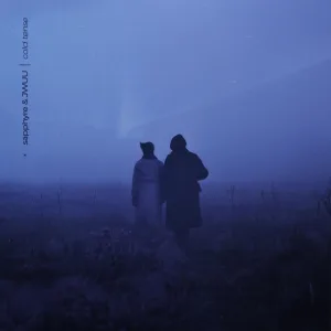 cold tense