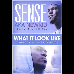 What It Look Like