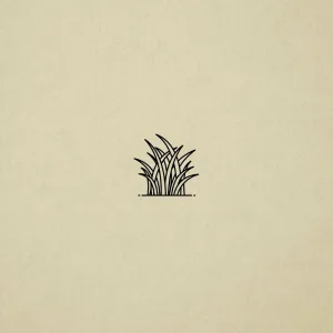 Still (shadow)