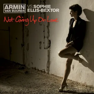 Not Giving Up On Love (Dash Berlin 4AM Extended Mix)