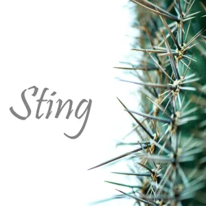 Sting