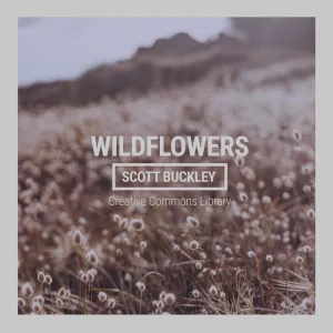 Wildflowers