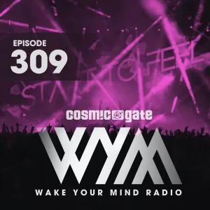 Polyform (WYM309)