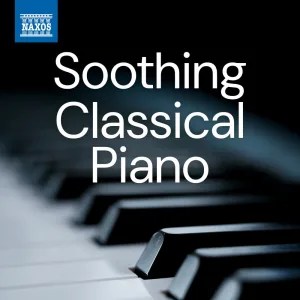 Symphony No. 9 in E Minor, Op. 95, B. 178, "From the New World": II. Largo